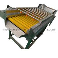 Industrial Brush Sweet Potato Peeling Mango Vegetable Carrot Washing Machine